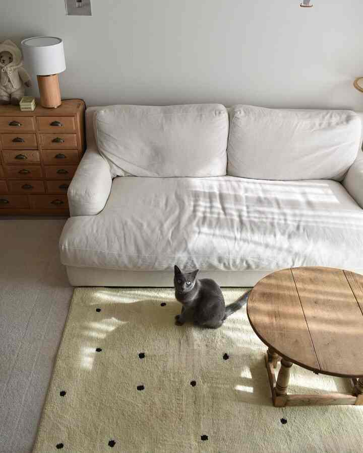 白とベージュのトーンのリビング、猫がドット柄のラグに座り、ナチュラルな木製コーヒーテーブルとソファが配置された雰囲気のあるインテリア