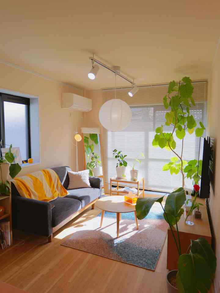 朝からお昼にかけて差し込む光が好きです。
木と陽の光って相性いいなあって毎日思います



#リビング #1LDK #北欧インテリア #木製家具 #無印良品 #イケア #買ってよかったもの
