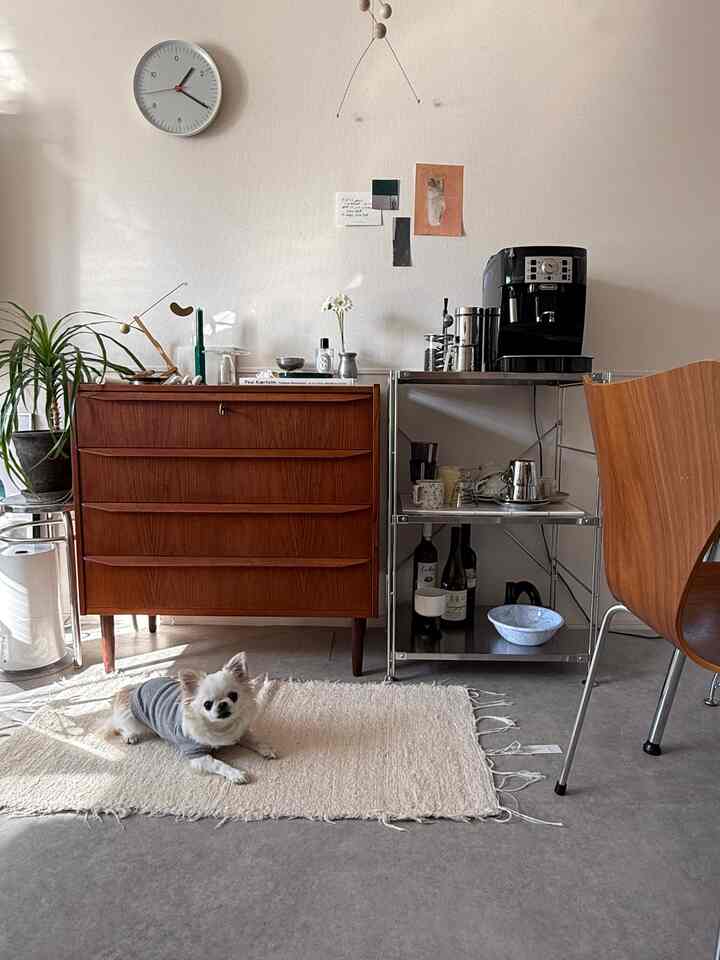 Warm brown and gray toned living room with a dog on a rug and a coffee machine, featuring a modern and cozy atmosphere