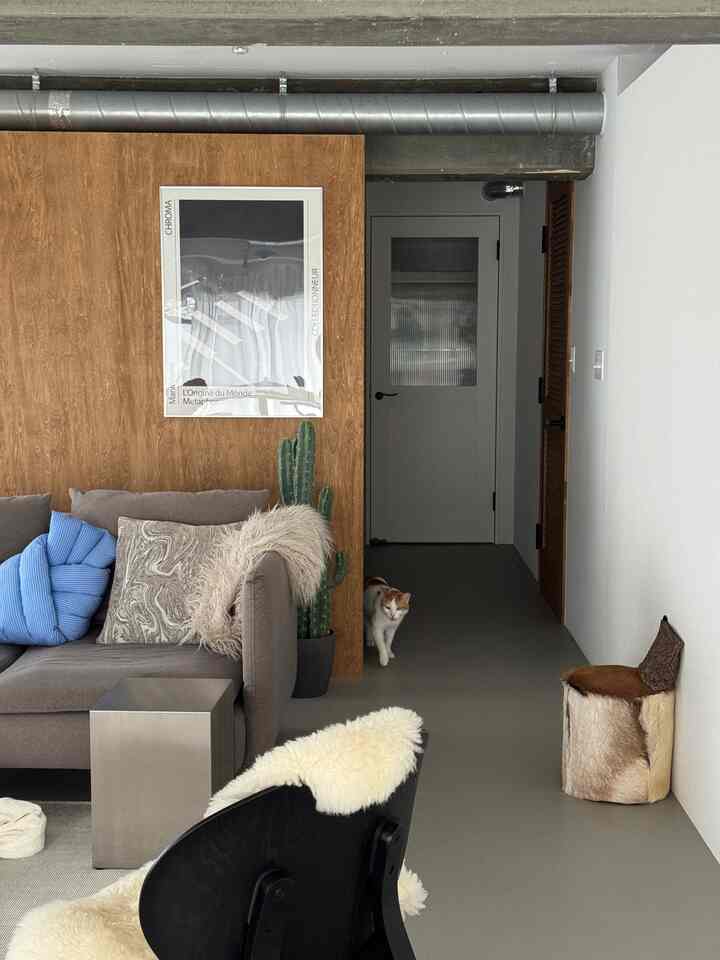 Modern natural living room with gray floor and brown wood wall, featuring a cat in the hallway