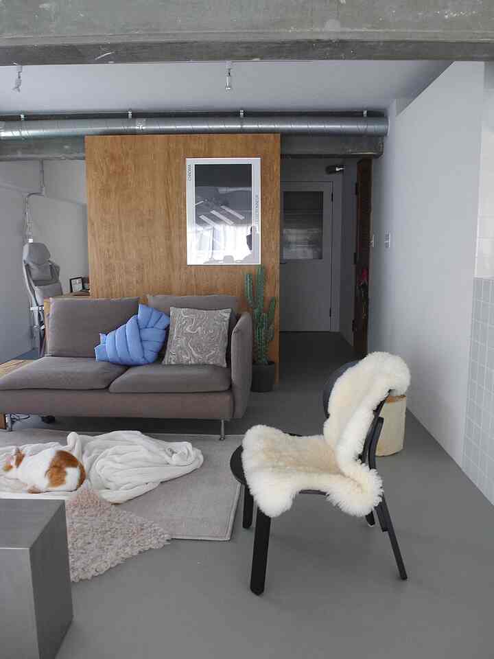 年始1000円オフだったので
IKEAフローセット導入しました🪑
かわいい🖤

#リビング
#リノベマンション
#一人暮らし
#猫と家