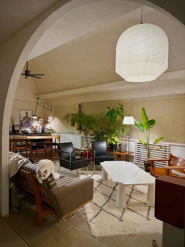 Beige-toned living room with arched ceiling featuring vintage furniture and abundant plants, warm and cozy atmosphere with a cat sitting on the sofa