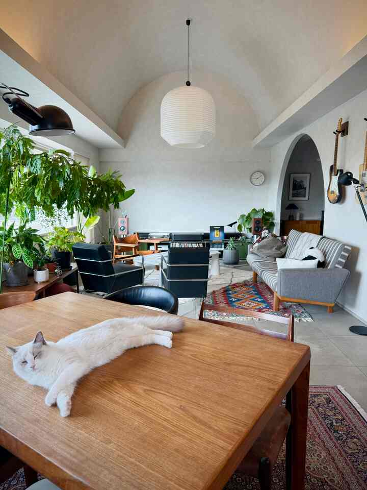 ナチュラルトーンのリビング、ミッドセンチュリー風家具と大型植物が配置された雰囲気のある空間