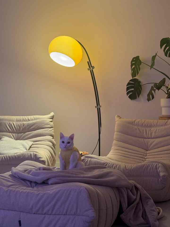 #ソファ #リビング #猫のいる暮らし #トーゴ #リーンロゼ #トーゴソファ #植物 #モンステラ #IKEA