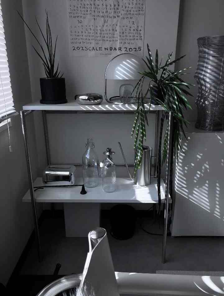 White and silver toned living room featuring simple shelves and leafy plants with a modern inorganic atmosphere
