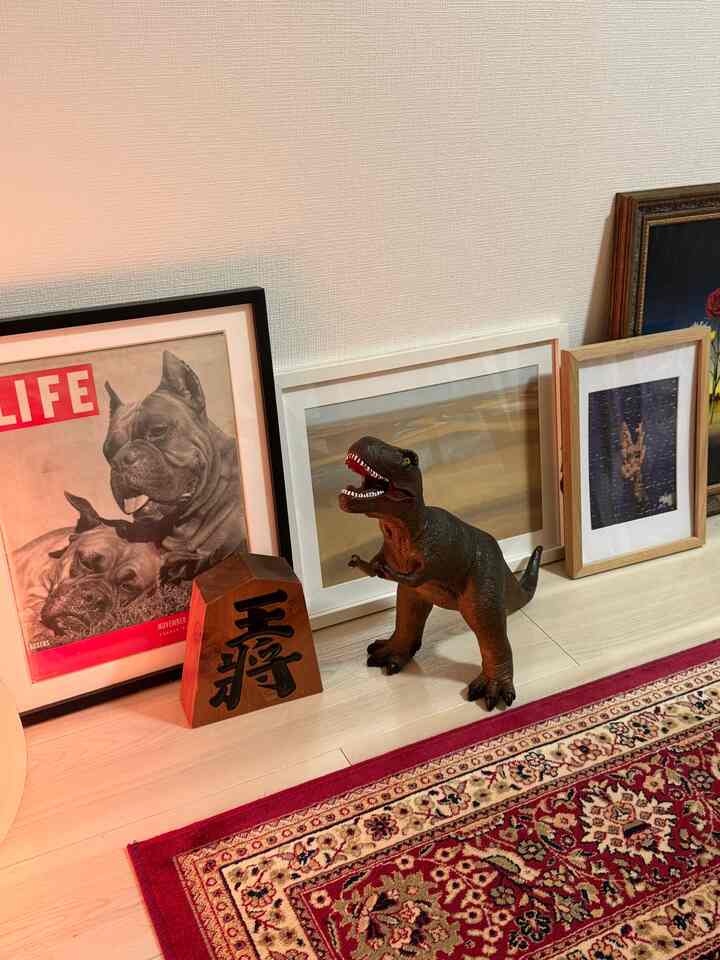 蚤の市購入品紹介パート2笑　🦖

恐竜ゲットしました笑

#蚤の市#フリマ#DIY