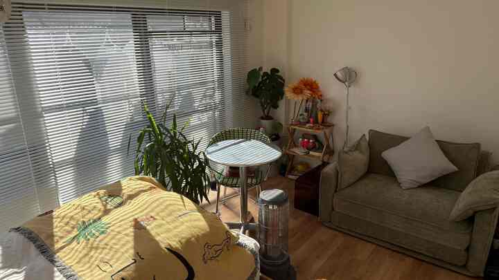 ナチュラルカラーとウッドトーンの1K一人暮らしの狭い部屋、ソファベッドとダイニングテーブルが配置された温かみのある空間