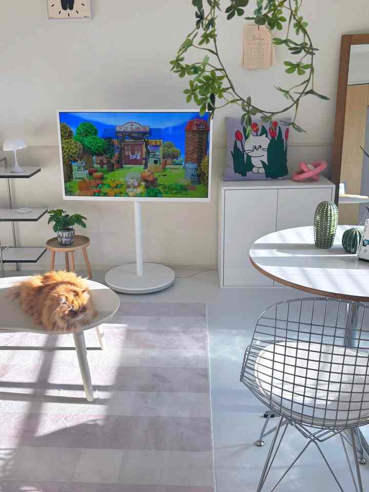 White and natural-toned living room featuring a cat on the coffee table, TV stand, and plants creating a cozy atmosphere