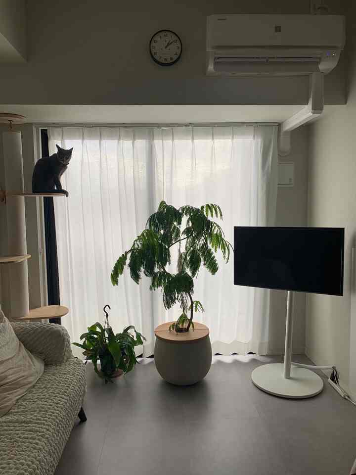 Gray floor tiles and white walls define a modern natural 1LDK living room featuring a cat on a cat tower and lush plants