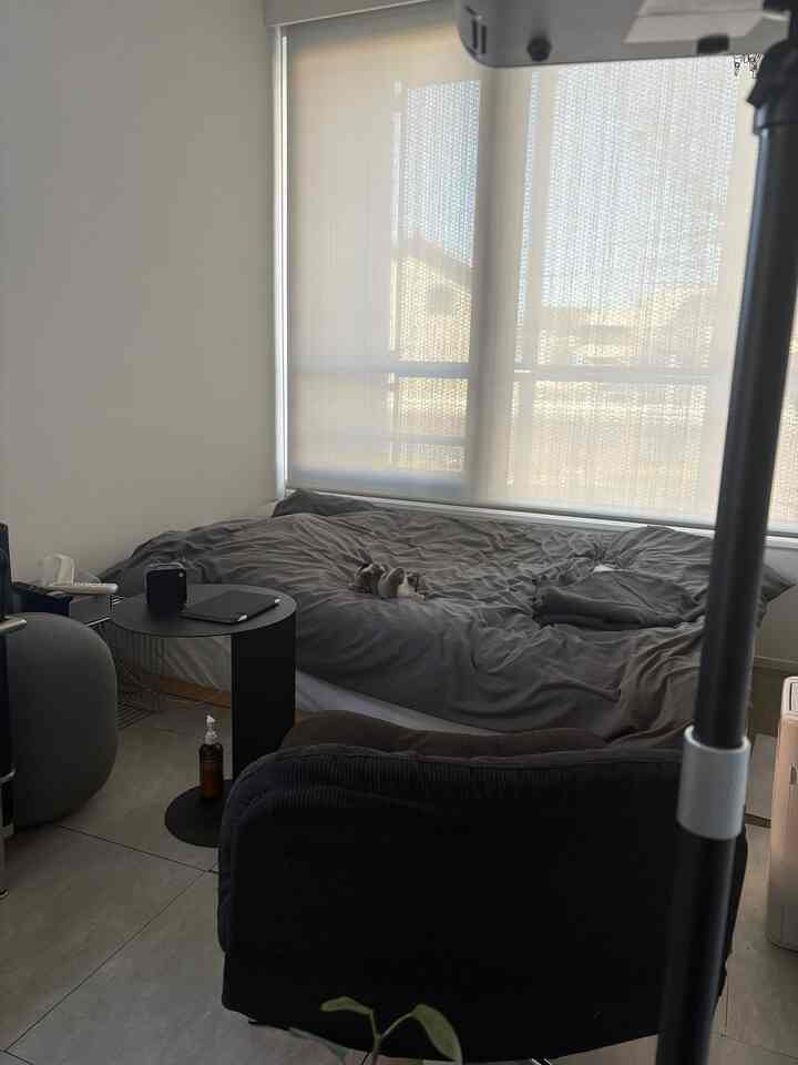 グレーとブラックのモノトーン寝室、窓際にベッドと黒いアームチェア、サイドテーブルが配置されたシンプルな空間