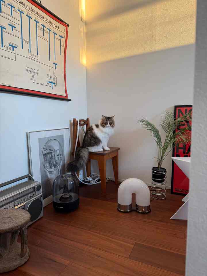 茶色のトーンのリビング、木の椅子に猫が座り、ポスターと植物が配置された雰囲気のあるインテリア