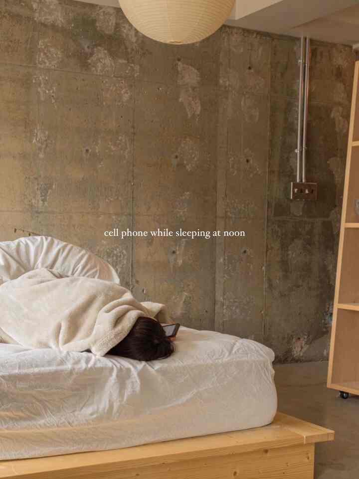 お気に入りの配置
#koala #イサムノグチ