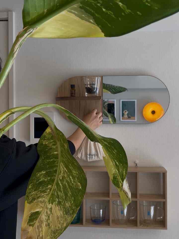 お気に入りのミラー3つ🪞部屋を広く明るく垢抜けさせてくれます✨
#ミラー #鏡 #カラフル #北欧 #ミッドセンチュリー #韓国風 #カフェ風