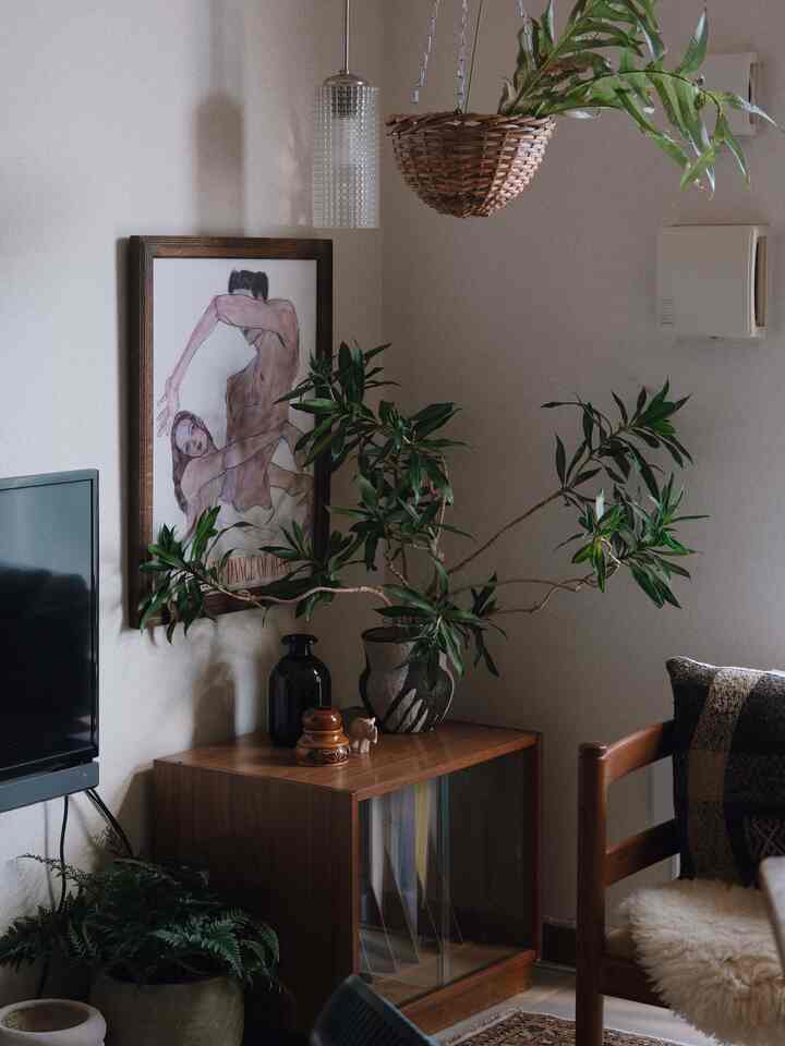 It's been so cold lately! My plants are weak, so I'm pruning them.

#SongOfJamaica
#Houseplants