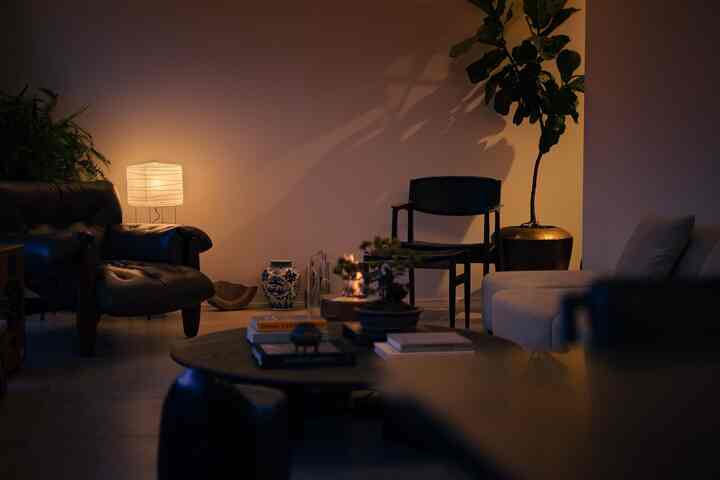もう少し間接照明がほしい

#vintagefurniture #sergiorodrigues
#interiorinspo #ecosmartfire
#pepeのいえ