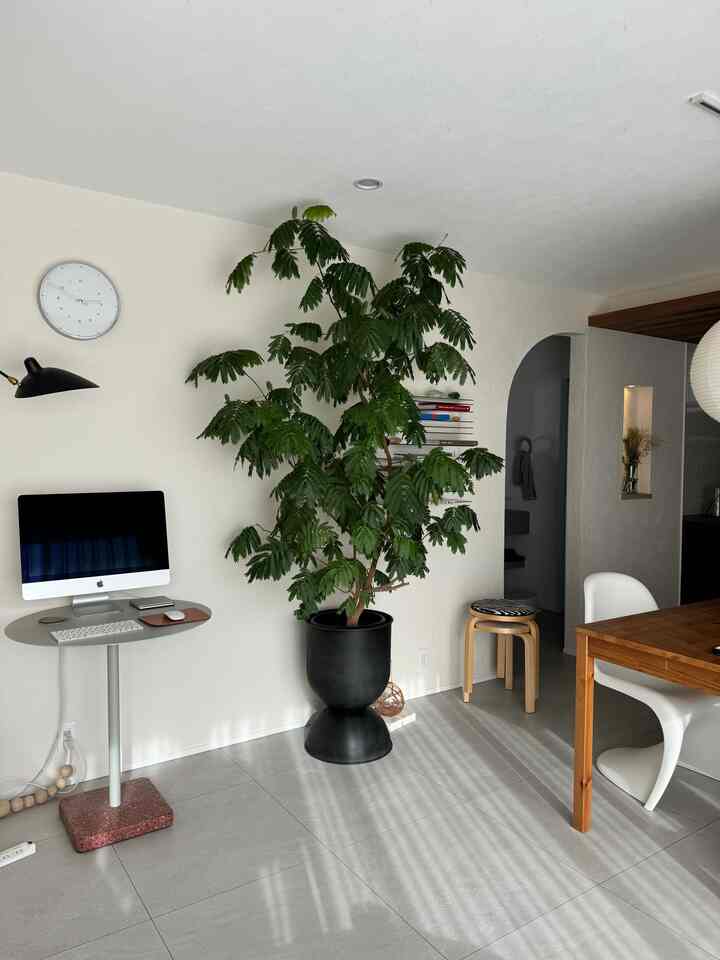 Sunday ☃️
.
.
.
.
#vitra
#flos
#ikea
#hay
#idee
#myhome
#home
#akari
#マイホーム
#ミッドセンチュリー
#ジャパンディー