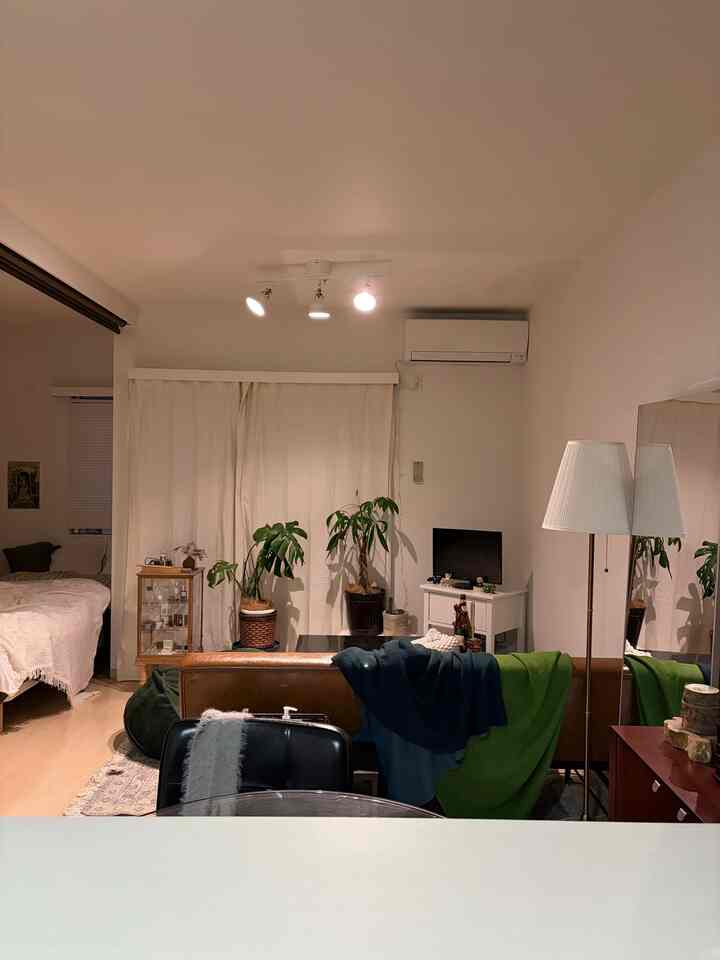 白と茶色のトーンのワンルームリビング、レザーのソファと観葉植物が配置された雰囲気のあるヴィンテージスタイルの空間