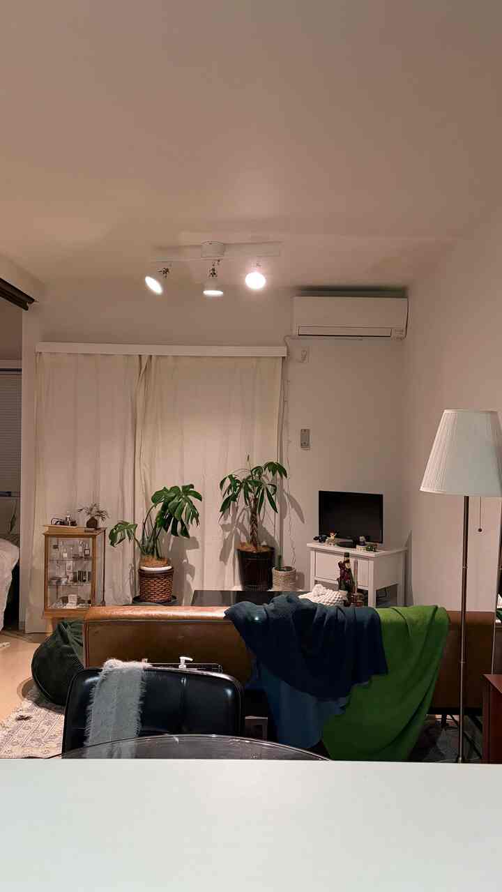 ベージュとブラウンの色調の1LDKリビング、観葉植物とヴィンテージ家具が配置された雰囲気のある空間