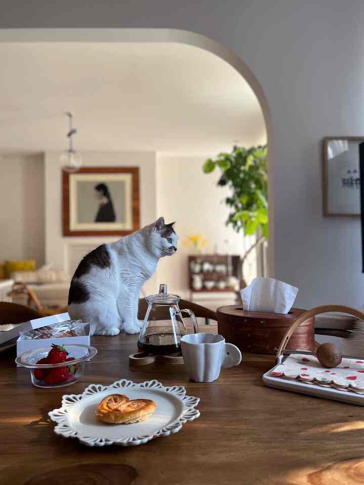 Beige walls and wood tone dining table space featuring a cat and home cafe elements on the table, creating a cozy atmosphere