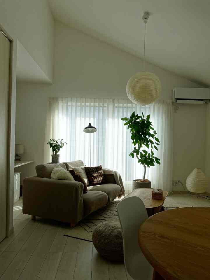 白をベースに、
木のぬくもりとグリーンを足したリビング。

高い天井と大きな窓から入るやわらかい光が、
一日の気持ちをゆっくり整えてくれます。

照明は主張しすぎず、
昼も夜も落ち着く空間になるよう意識しました。
お気に入りは、窓辺の植物とペンダントライトの組み合わせ。

#リビングインテリア
#ナチュラルインテリア
#北欧インテリア
#シンプルインテリア
#暮らしを整える
#植物のある暮らし
#照明のある暮らし
#戸建てインテリア
#吹き抜けリビング
#ナチュラルモダン
#インテリア好きな人と繋がりたい