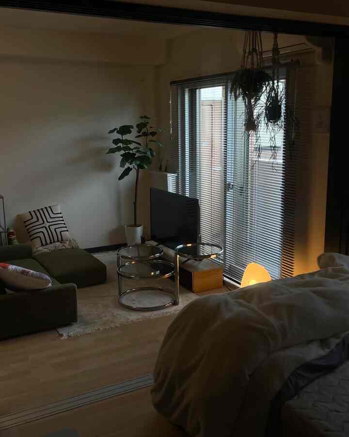 ナチュラルなトーンのワンルームリビング、グリーンのソファと金属製のテーブル、植物と柔らかな照明が配置された居心地の良い空間