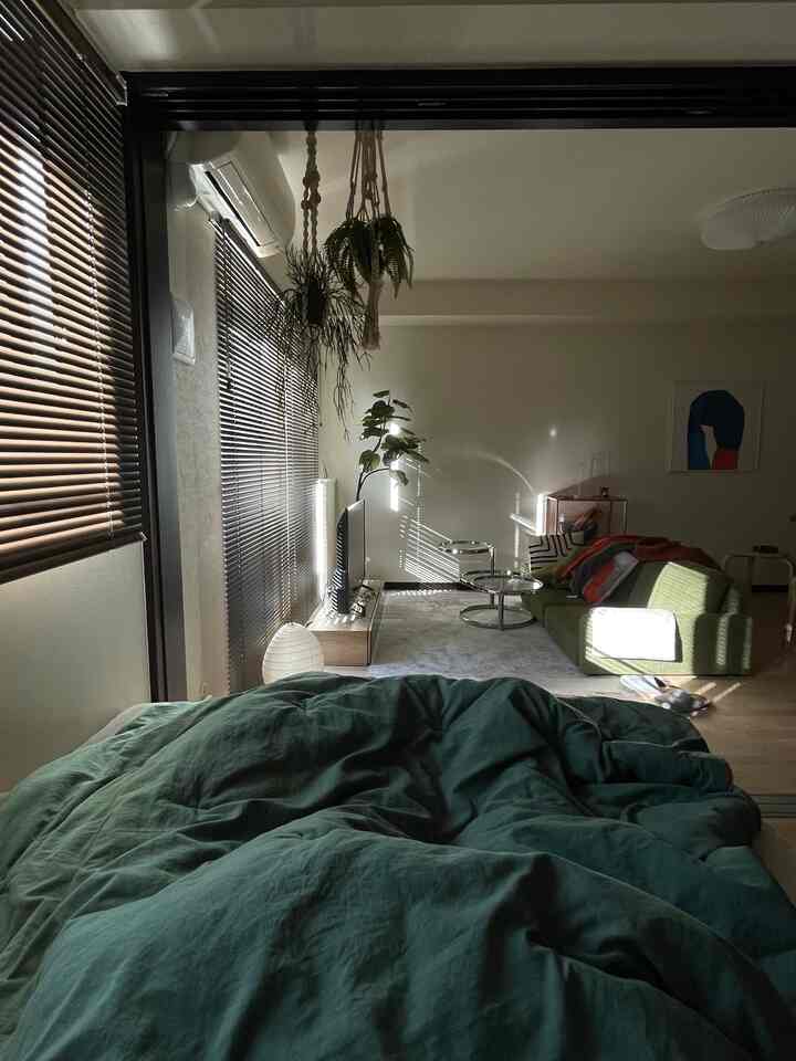 Green-toned bedroom and living room featuring a green sofa and plants, creating a natural atmosphere