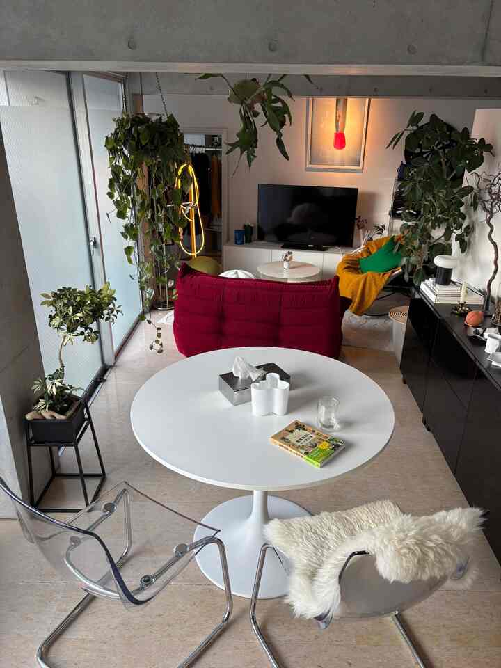 白と赤を基調としたワンルームのリビング、透明なダイニングチェアと観葉植物が置かれたナチュラルモダンなインテリア