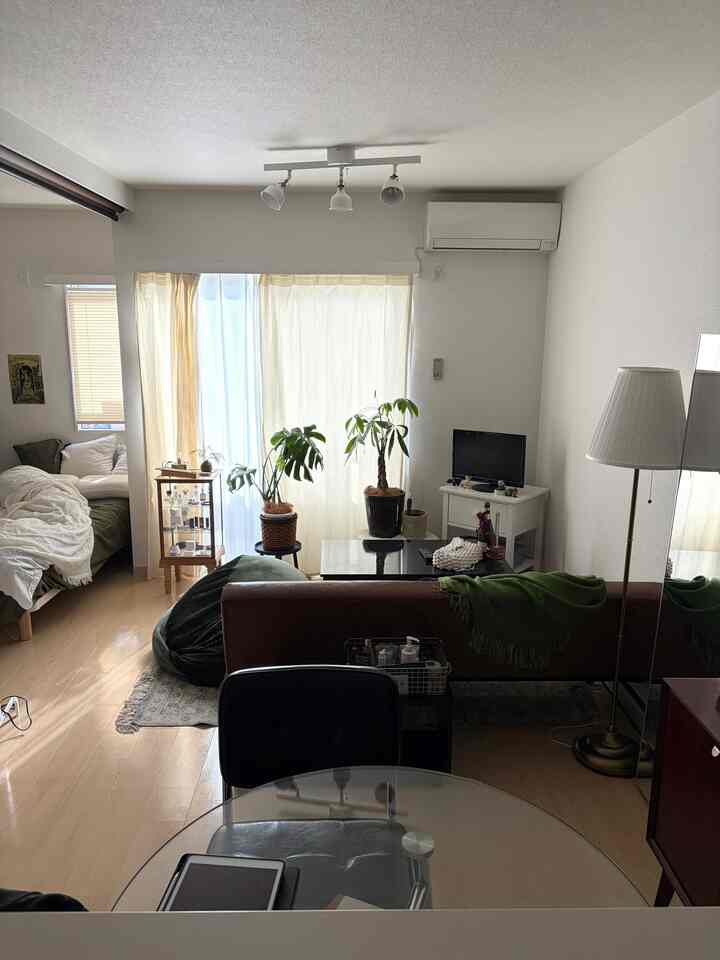 白と木目調の1LDKリビング＆寝室、ソファやコーヒーテーブル、観葉植物が配置された自然で落ち着いたインテリア