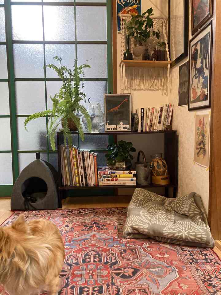 暖色系のナチュラルな6畳リビング、ヴィンテージラグと犬用ハウス、本棚、植物が配置された雰囲気のあるインテリア