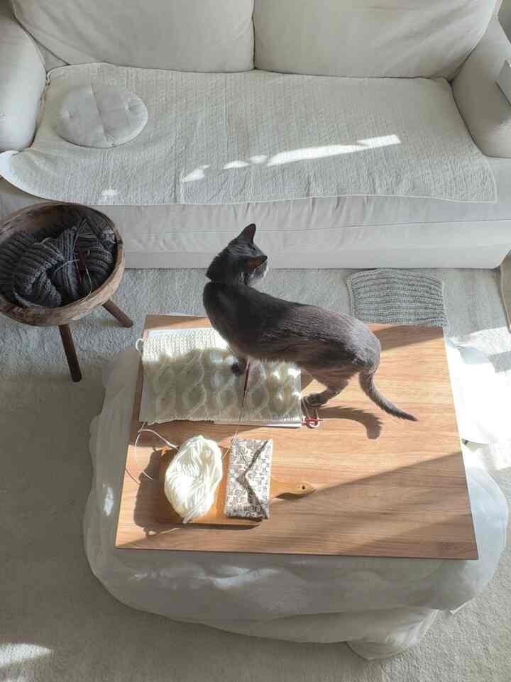 我が家にしては広めのローテーブルはいろいろ置けてとっても便利です🐈‍⬛

#こたつ #ニトリ #賃貸インテリア
#1LDK #猫との暮らし #ソファ
#ホワイトインテリア #北欧
#オーク #ローテーブル #ナチュラル
#アンティークインテリア #猫