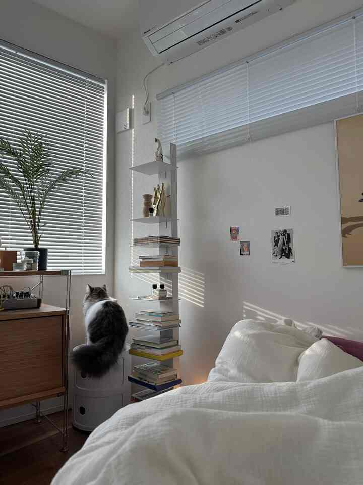 白と木目調が調和する寝室、キャット家具に座る猫とモダンなブックタワーがある雰囲気のあるインテリア