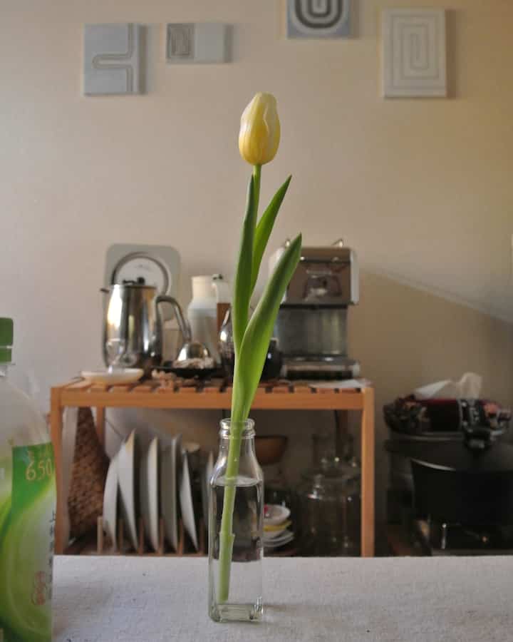 ベージュ色調のキッチンに透明な花瓶と黄色いチューリップが配置された雰囲気のあるインテリア