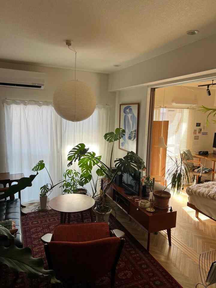 ナチュラルトーンと緑の植物が配されたミッドセンチュリーモダンのリビングと北欧モダンの寝室が調和した雰囲気のあるインテリア