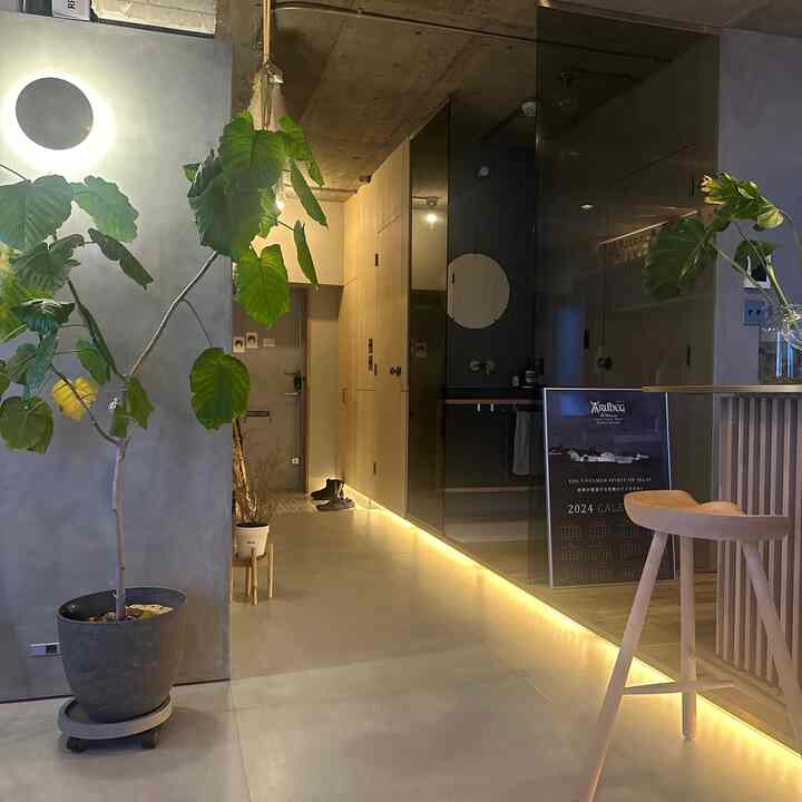 Natural toned studio featuring LED tape light along floor for spatial effect, large plant and wood stool complementing modern interior