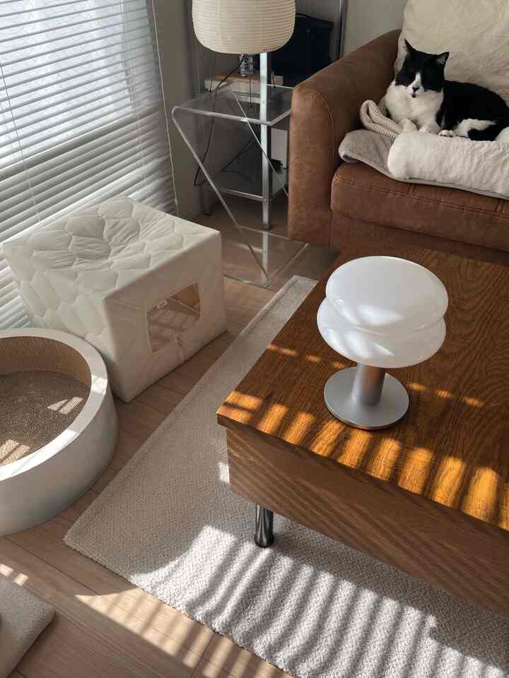 白と茶色のトーンの1LDKリビング、ソファとキャットタワー、猫とラグが配置された雰囲気のある空間