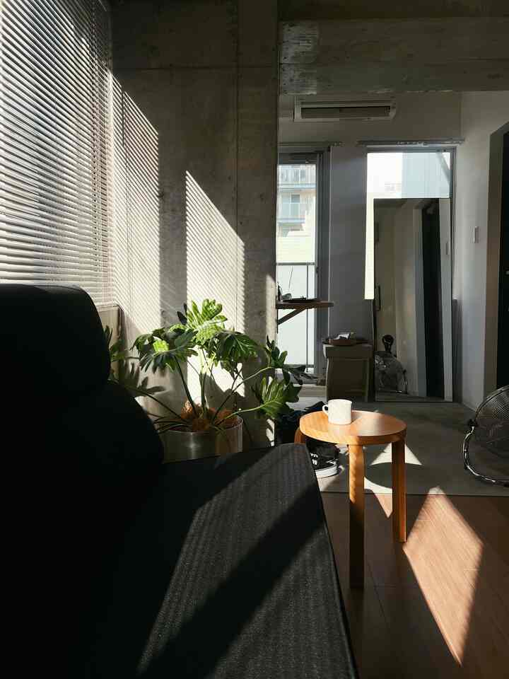 Sunlit modern studio living room featuring a black sofa, wooden stool, and large green plant creating a cozy ambiance