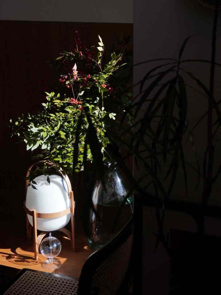 あっという間に2月。

１月は南天と蝋梅がリビングの主役でした。

陽を受けてくるくる回るラジオメーターが癒し。

#枝物　#南天　#蝋梅　#フラワーベース