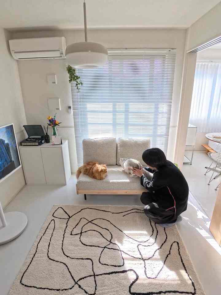白とナチュラルカラーの調和した1LDKのリビング、ソファに猫2匹と人がいる温かみのある空間