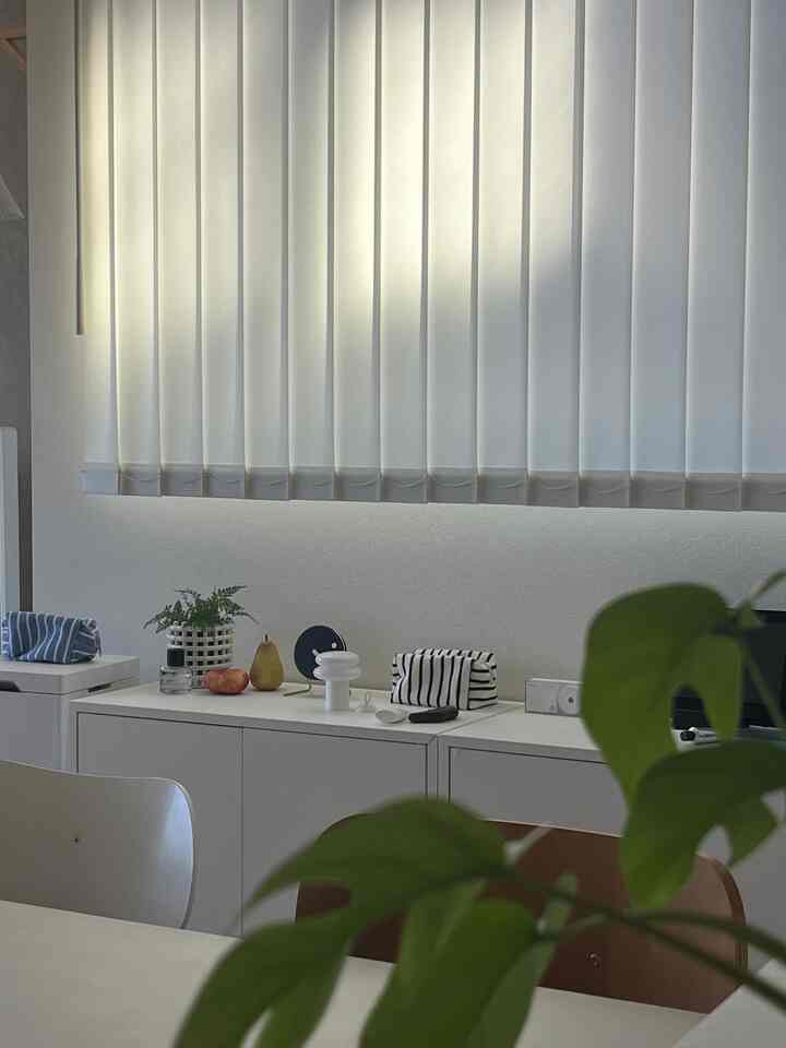 White-toned living room featuring white cabinets, vertical blinds, dining chairs, and green plants in a modern setup