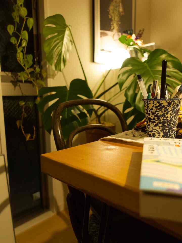 暖かい黄色のトーンの1LDKリビング、木製ダイニングテーブルと椅子、大きな観葉植物が配置された雰囲気のある読書空間