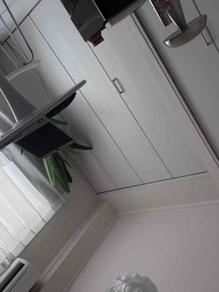 白を基調としたワンルームのダイニングスペース、白いテーブルとチェアに緑の観葉植物が配置されたシンプルで清潔感のあるインテリア