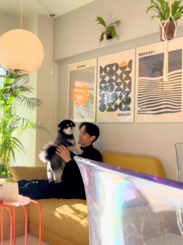 Dog and cat interiors 🐶🐈
#dog #ネコ #カラフル #ポップ #韓国風 #カフェ風 #北欧 #ミッドセンチュリー