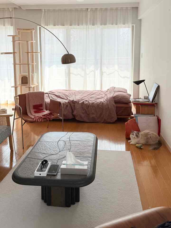 ナチュラルな色調のワンルーム、ピンクのベッドとコーヒーテーブル、キャットタワーが配置された居心地の良い一人暮らしの部屋