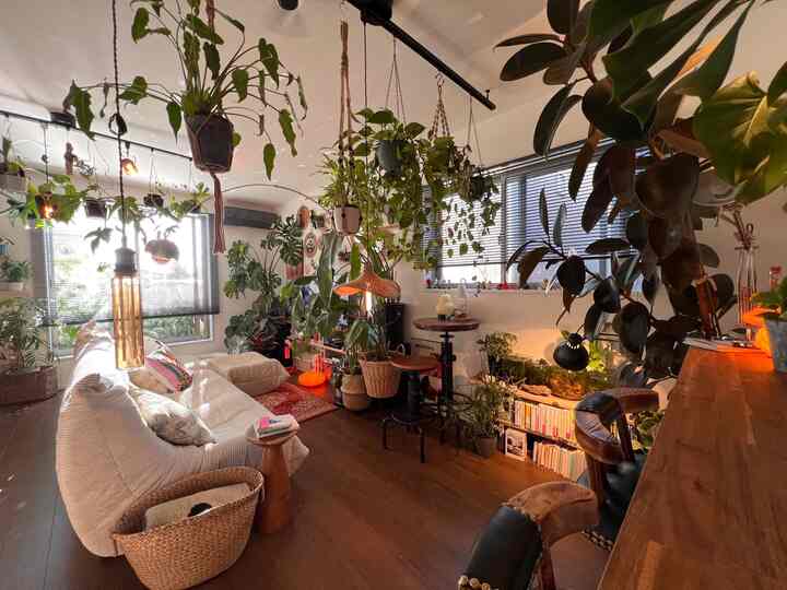 Natural-toned living and dining space featuring abundant plants and vintage bar stools with a cozy atmosphere