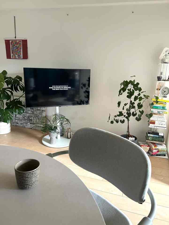 ナチュラルカラーとミニマルなデザインのリビング兼ダイニングルーム、ダイニングテーブルと椅子、観葉植物、テレビ台が配置された清潔感のある空間