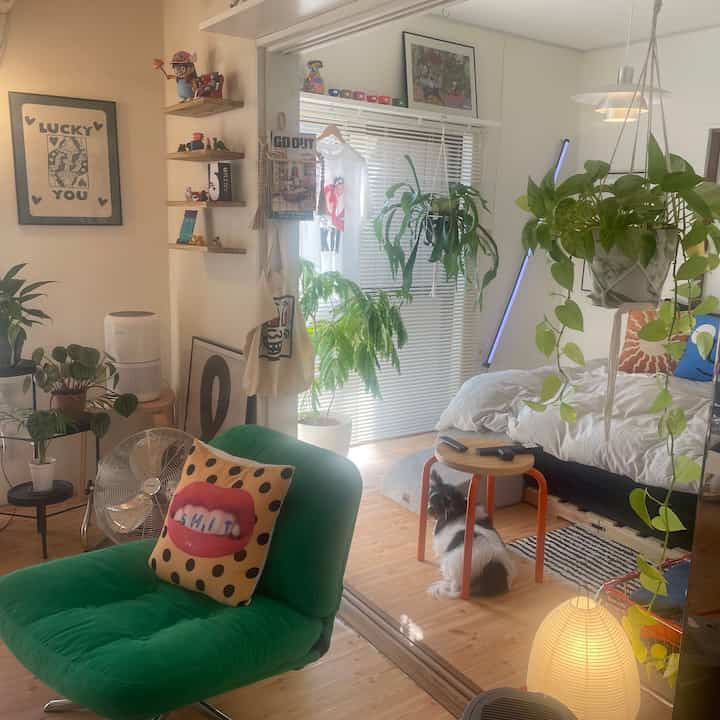 Everfresh dipindahkan ke tempat yang terkena sinar matahari.

#RuangTamu #IKEA #エバーフレッシュ #観葉植物 #ベット #スツール