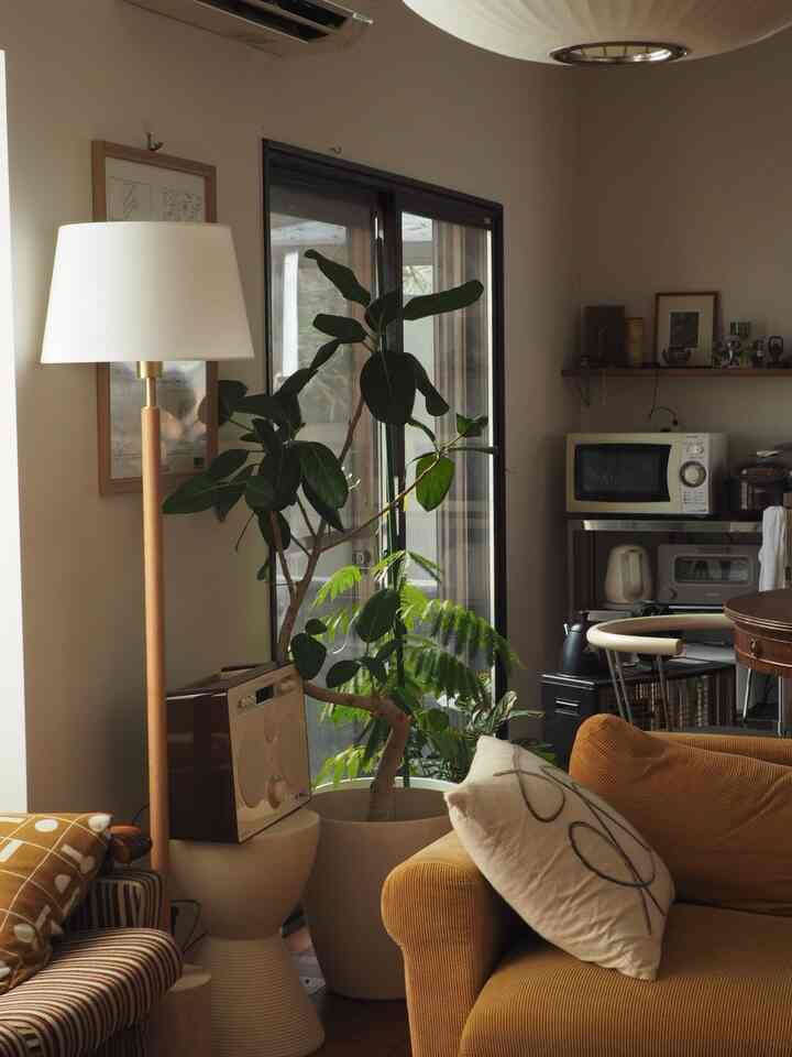 Natural toned living room featuring a yellow sofa and large indoor plant with a warm atmosphere
