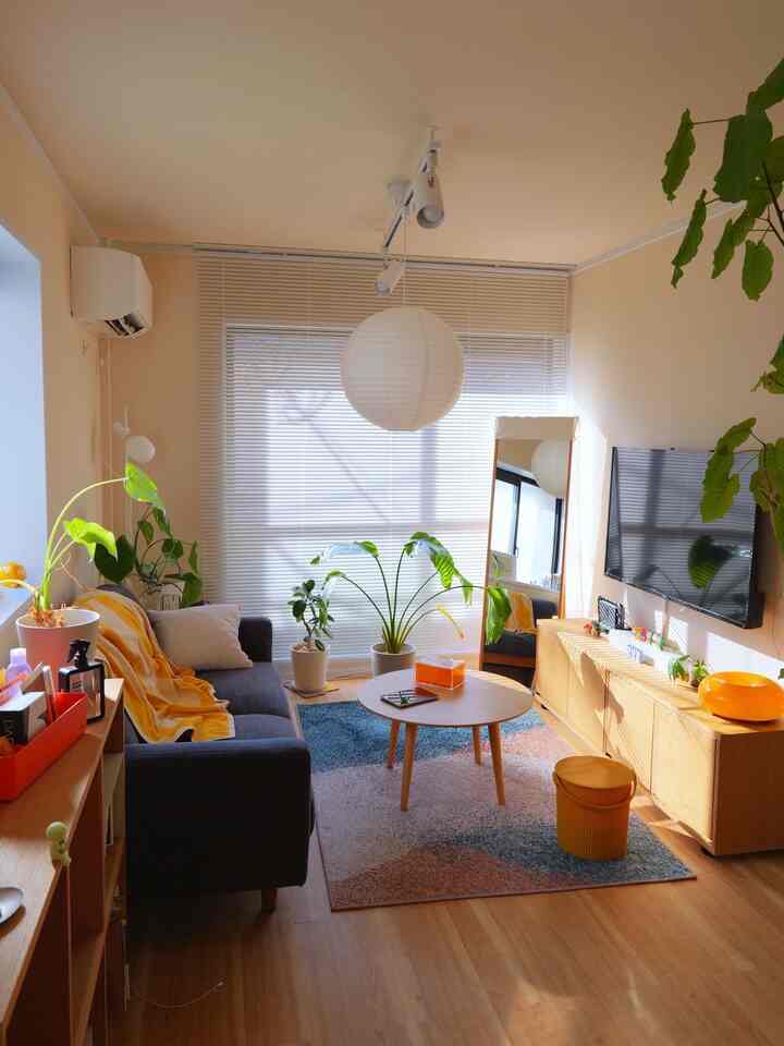 温かみのある木目調と明るいベージュの壁が印象的なコンパクトな1LDKのリビング、シンプルなソファとラグ、自然の植物が配置された落ち着いた雰囲気のインテリア