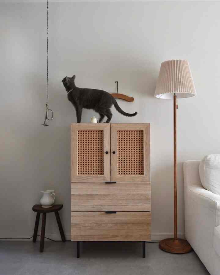 ナチュラルな色調のリビング、ラタンキャビネットと猫、フロアランプが配置された雰囲気のある空間