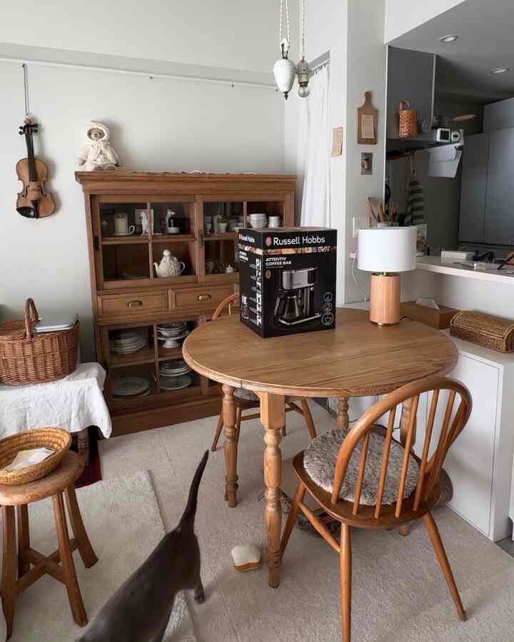 ナチュラルな色調の1LDKリビング、木製のダイニングテーブル、椅子、キャビネットと猫がいる雰囲気のある空間